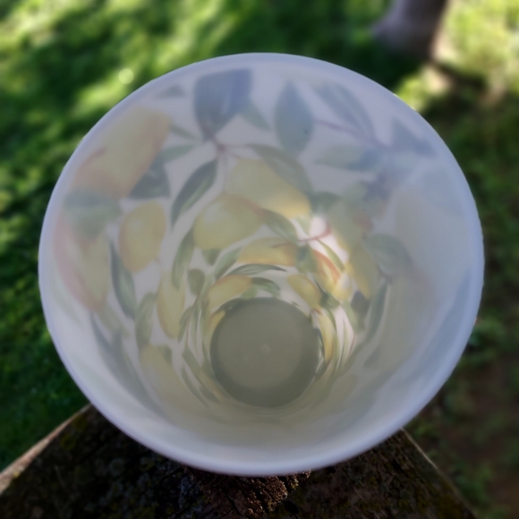 Set of 6 Tuscan Lemon Kitchen Drinkware Tumblers Perfect for Indoor/Outdoor Use! - Picture 4 of 8